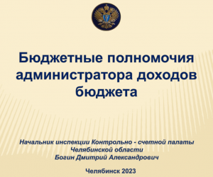 Бюджетные полномочия администратора доходов бюджета