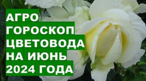 Агрогороскоп цветовода на июнь 2024 года Florist's agrohoroscope for June 2024