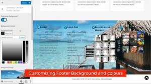 Setting Up Site Footer - BuddyX Pro - WordPress Social Network Theme