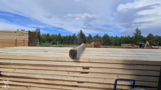 Загрузка сушильной камеры 60 кубов. Скорость 8х. Сушка древесины.