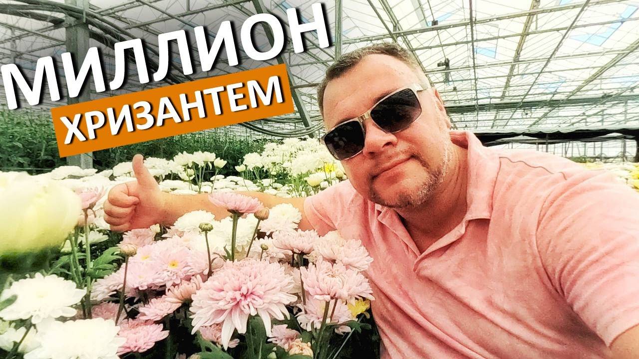 Крым. НЕВЕРОЯТНОЕ МЕСТО, ГДЕ РОЖДАЕТСЯ КРАСОТА. Я посетил агрохолдинг "Верёвкин хутор" Капитан Крым смотреть онлайн