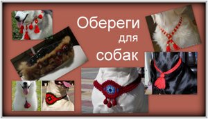 Обереги для собак - дань моде или полезная вещь?