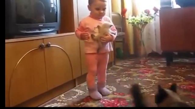 Мама   сиамская  кошка отняла своего котенка у ребенка