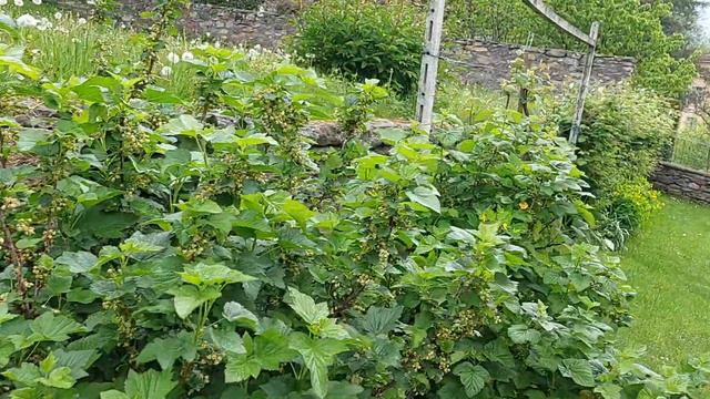 Ошибки в работе...Швейцария. смотреть онлайн