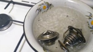 Выбрасывает  тосол из расширительного бачка.