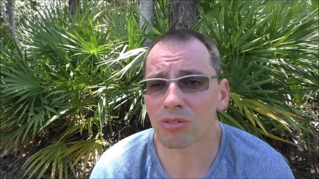 Как я сдавал экзамены на врача в США (USMLE). Материалы для подготовки
