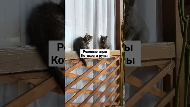 Ролевые кото#руны Как играют коты в стиле руны #рунадня #shorts