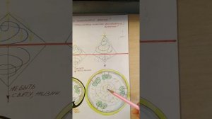 Почему ускорилось Время? Знания Свыше.