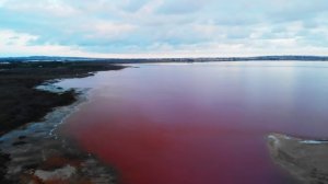 12 Существ SCP, Которых Точно не Должно Быть в Нашем Мире