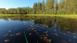 Карелия Сумозеро