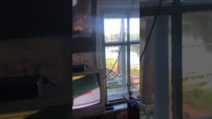 Отшельник живет один в лесу