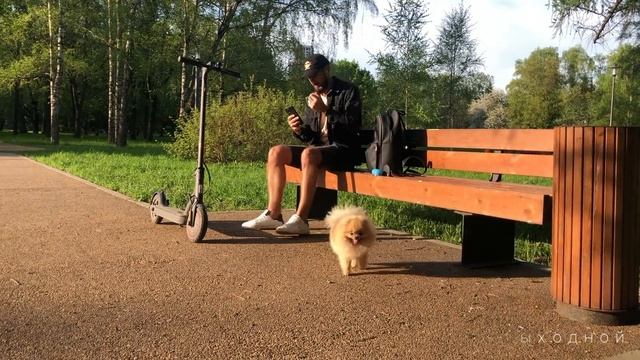 МАЙ | ПЕРЕЕЗД | ПЕРВАЯ ТАТУИРОВКА | ЗАБЕГ ПРЕДПРИНИМАТЕЛЕЙ | КЛЮЧИ ОТ КВАРТИРЫ смотреть онлайн