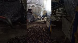 Переработка шин в резиновую крошку на роторной дробилке.