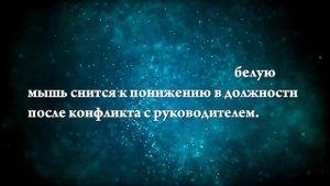 К чему снится белая мышь - Онлайн Сонник Эксперт