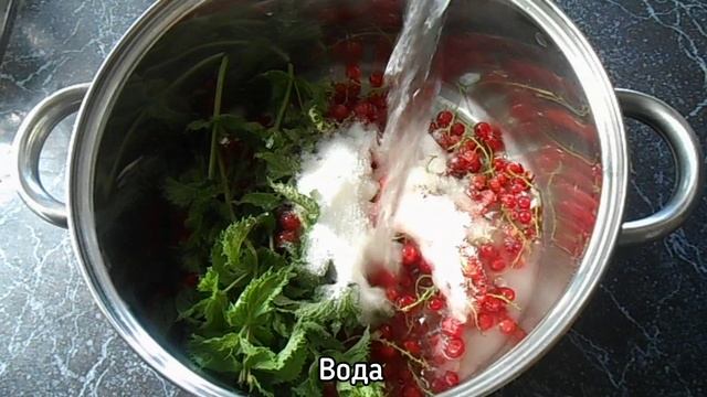 Компот из красной смородины и мяты. Освежающий напиток! смотреть онлайн