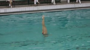 Синхронное плавание, Соло, Яхно Елизавета, Кубок Украины 2014, Произвольная программа