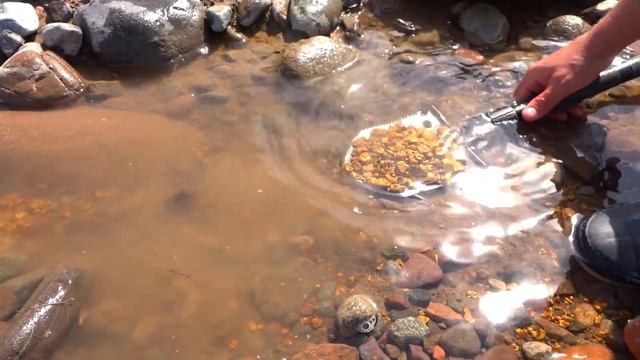 Gold-rich rivers where you can still find treasure | how to earn on gems! смотреть онлайн