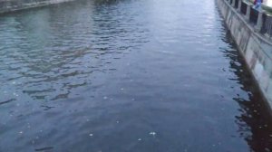 Набережная реки Фонтанки