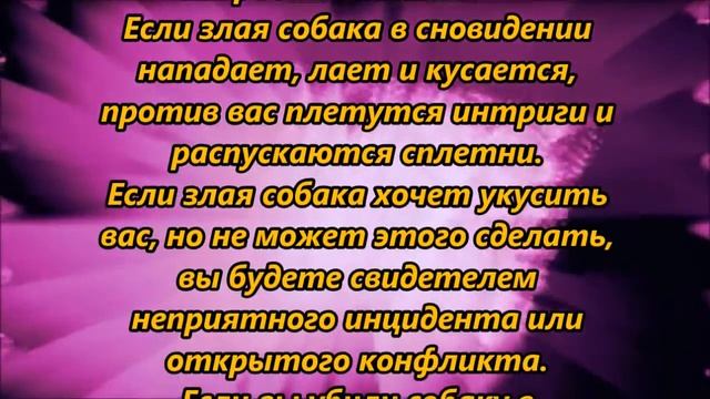 К чему снится укус собаки смотреть онлайн