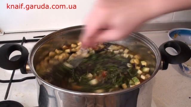 Суп с баклажаном, кабачком и зелёной чечевицей, с индюшиным крылом. смотреть онлайн