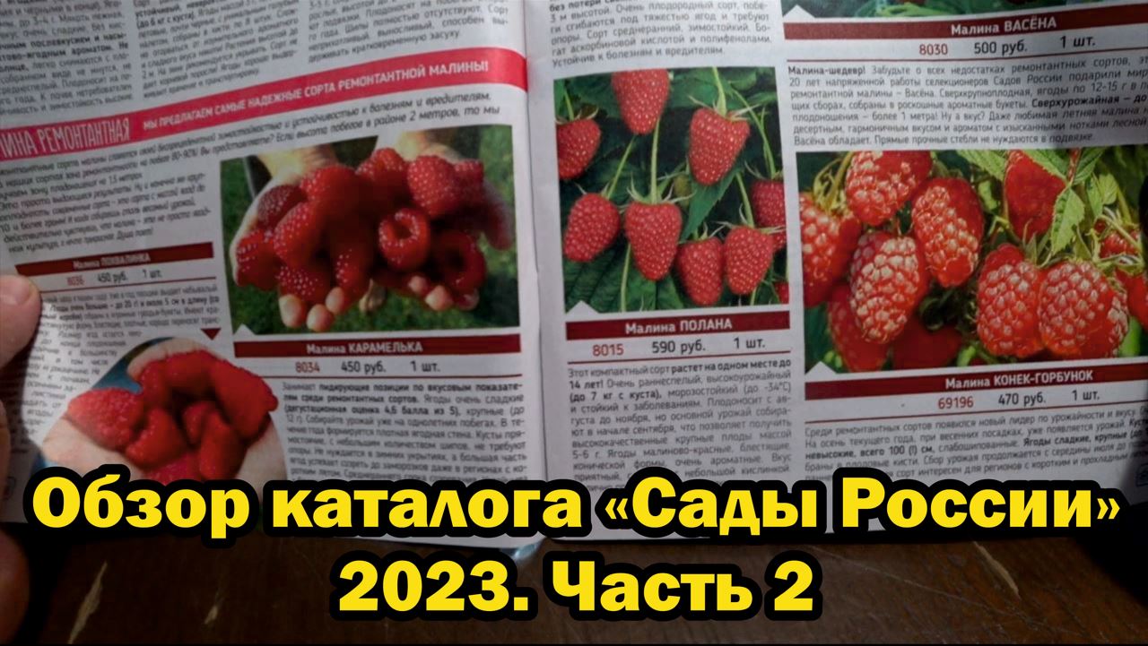 Семена каталог на 2023. Сады России каталог 2023. Сады России каталог Весна 2023. Каталог сады России на 2023г.. Каталог семян сады России на 2023 год.