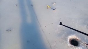 рыбалка на балалайку