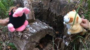 11. // Сила тяжести.