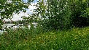 Попов озерóк — уютный уголок моего города Касли