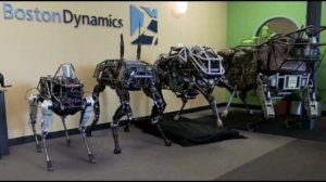 Китайские собаки-десантники готовы к высадке на Тайвань.