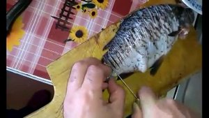 Как правильно разделать карася