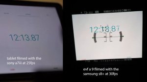 Sony A9 DELAY EVF