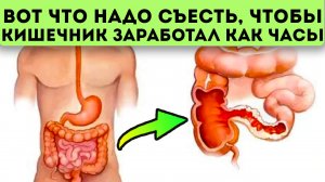 Кишечник кашей не испортишь! Узнай самые полезные продукты для кишечника