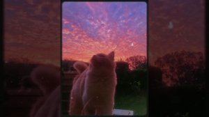 Home - Resonance reversed