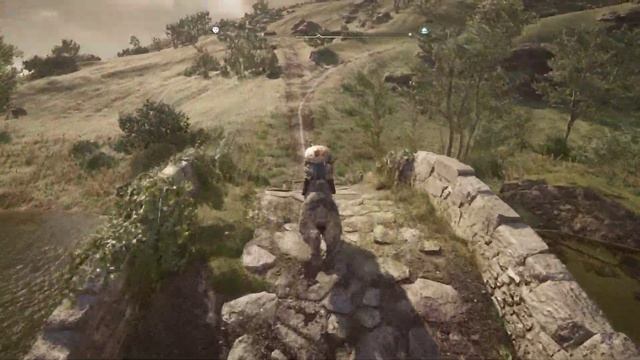 Прохождение Assassin’s Creed Valhalla Гнев друидов – Часть 22. Дети Дану, Пламя смотреть онлайн