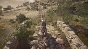 Прохождение Assassin’s Creed Valhalla Гнев друидов – Часть 22. Дети Дану, Пламя