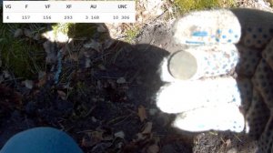 Поиск монет по самым выбитым местам с Minelab X-TERRA 705. Старая дорога из Агропустыни в Солотчу.