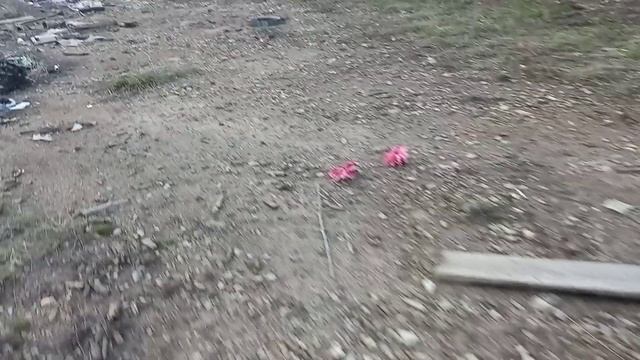 отстрел мягкой дроби 2 навеска 2х32 гр на 35 метров пыж контейнер н21 смотреть онлайн