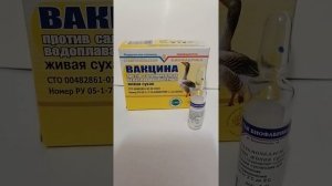 Вакцинация против сальмонеллеза птицы!!!! Простая и подробная дозировка.
