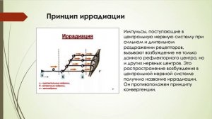 Координированная деятельность ЦНС (Бондарь ОС106)