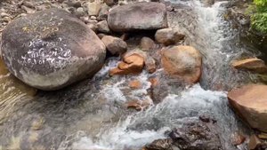 ПРИРОДА ВЬЕТНАМА . ЯНГ-БЭЙ. НЕЗАБЫВАЕМЫЕ ВОДОПАДЫ .