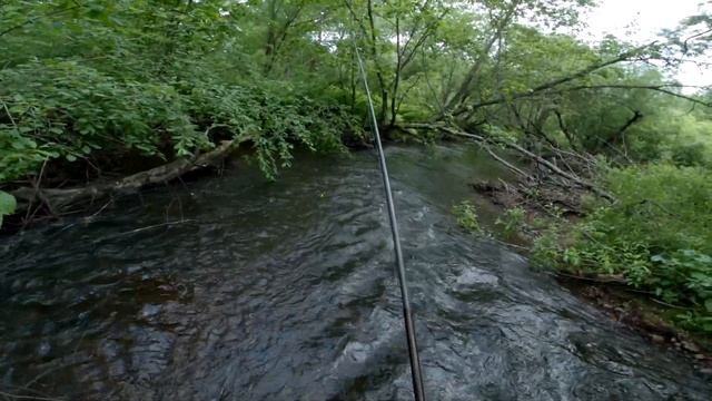 Отличная рыбалка на горной речке. ( ленок хариус. )