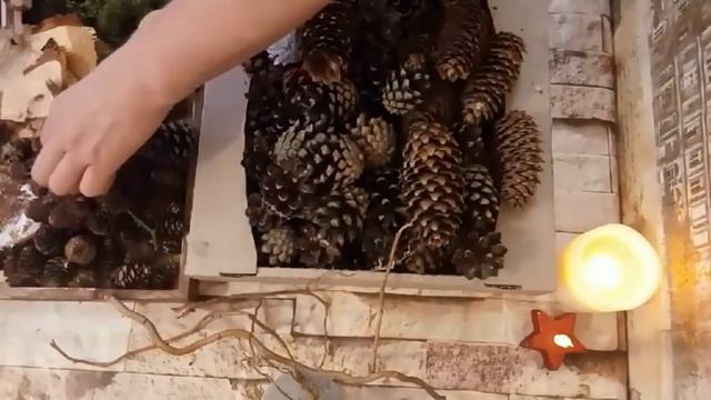Обзор природных материалов для декорирования / заготовки / поделки / переделки  / hand made