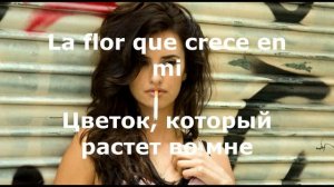 Испанский язык по песням. Вики.Кристина.Барселона саундтрек. Перевод с испанского.