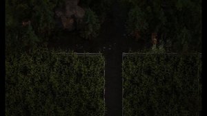 The Genesis Order Chapter 22 - v47102, Safe Key, Mecoprop, Dicamba, Black Pepper, Weed Killer