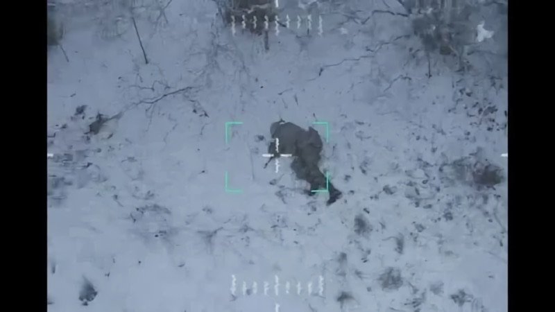 Боец ВС РФ поймал вражеский дрон голыми руками
