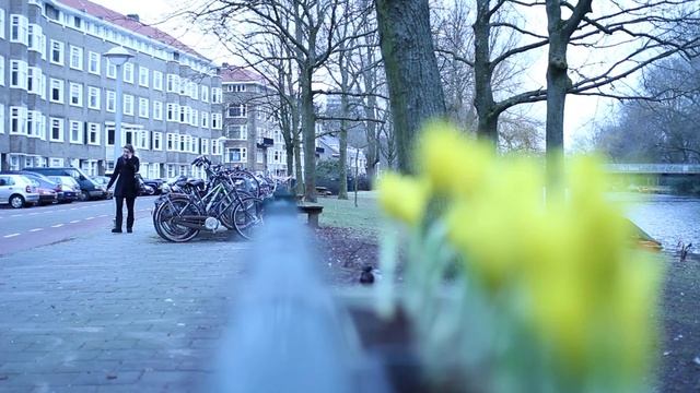 Canon T2i 550D with Sigma 30mm f1.4 in Amsterdam смотреть онлайн