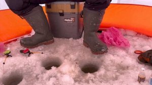 Ловля крупной густеры в сильный мороз