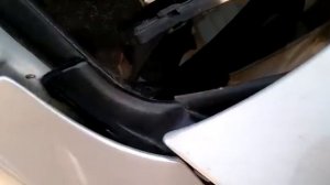 Скрип жабо accent