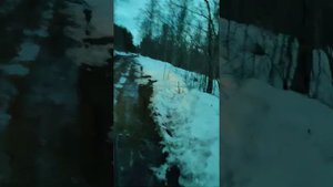 дорога в деревню Мережнаволок. Республика Карелия Кондопожский район. 03.04.2021