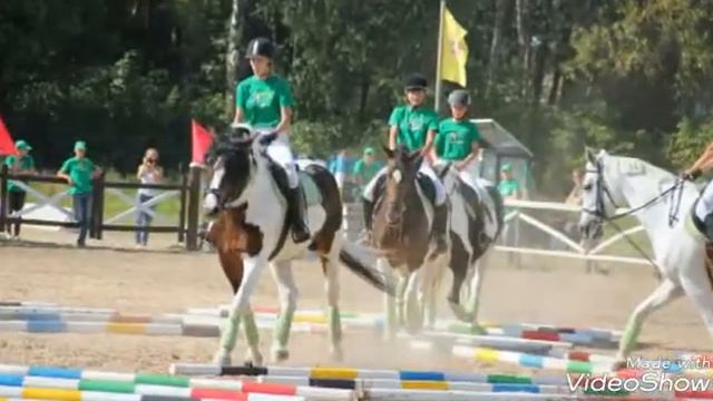 КСК Амадеус смотреть онлайн